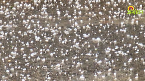 Unseasonal Rain