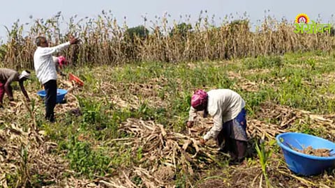 Labor Shortage