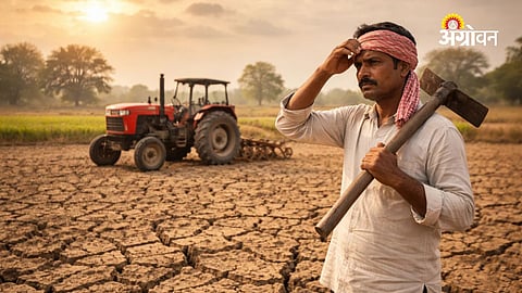 Rabi Season Management