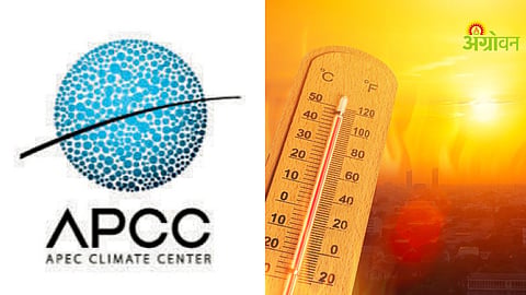 El Nino impact on global weather patterns