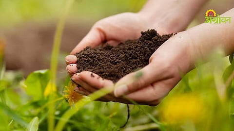 Sustainable Farming
