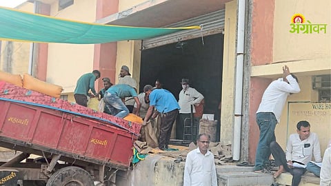 Maize Procurement