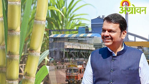 Sugar Industry