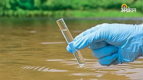 Irrigation Water Management: Avoid Crop Damage