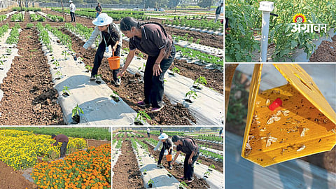 Smart farming model in Nashik agriculture college