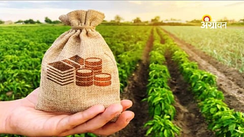 Crop loan policy issues Maharashtra 2026