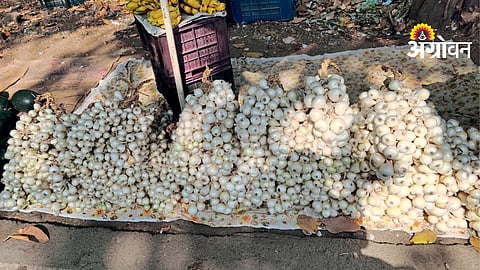 White Onion