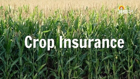 MLA Kailas Patil Urges CM Devendra Fadnavis for Harvest-Based Crop Insurance