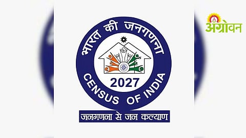 Census Survey
