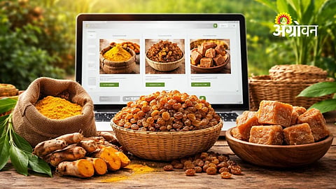 Sangli Turmeric, Raisins and Jaggery Go Online for Nationwide Buyers
