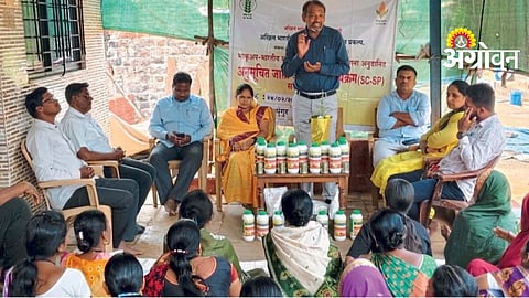 Agriculture Advice