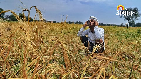 Crop Insurance Compensation Yet to Reach Farmers
