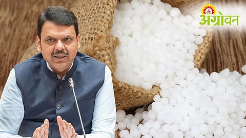 Fertilisers Supply