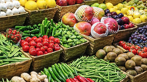 Sangli farmers agriculture business opportunities