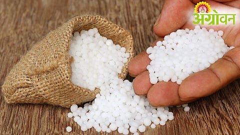 Urea Production Policy