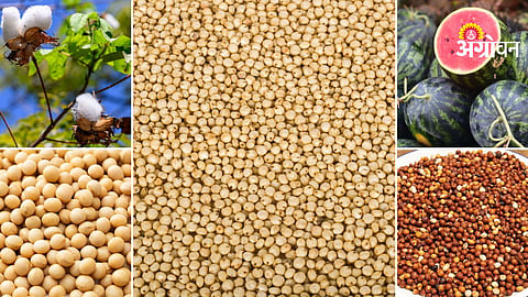 Farm produce market trends India today