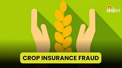 Agriculture Insurance Fraud