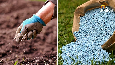 Kharif Season Fertilizer Availability
