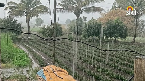 Pre-Monsoon Rains