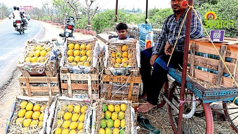 Hapus Mango Fraud