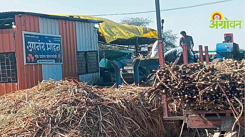 Jaggery Production