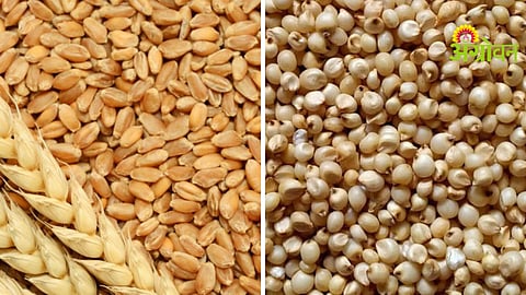Wheat Market