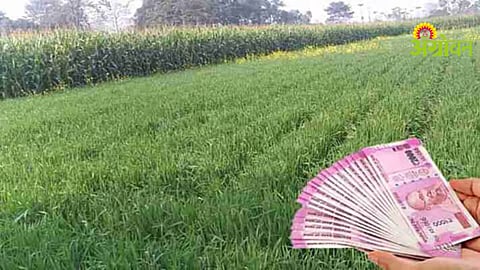 Crop Loan Recovery
