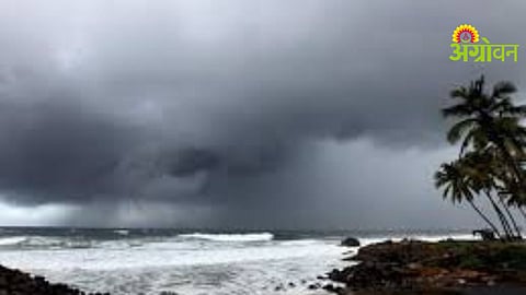Maharashtra rain alert for Vidarbha districts