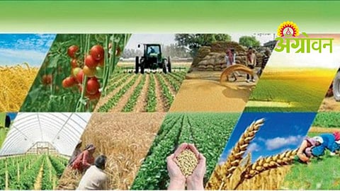 Agriculture Scam