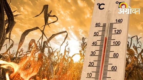 Heatwave Impact