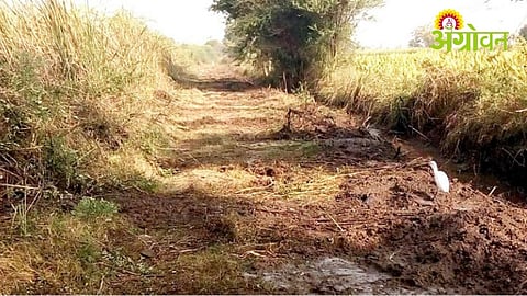 Farm Road Issue