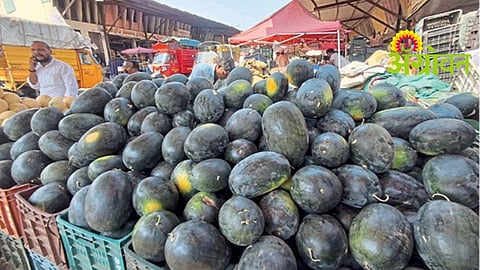 Watermelon Sales Decline