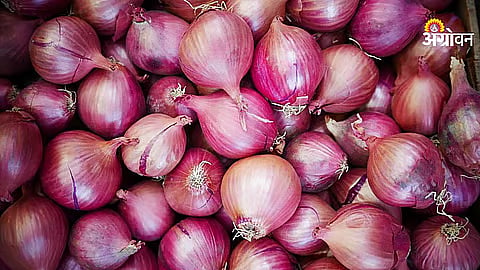 NAFED Onion Scam