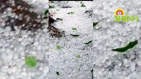 Unseasonal Rain