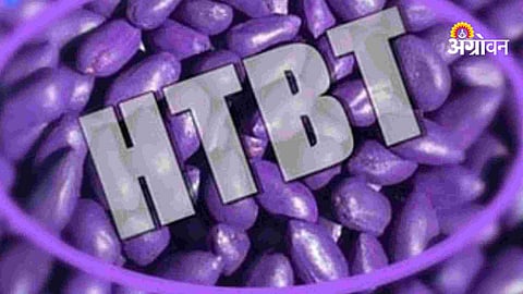 HTBT Cotton Seeds