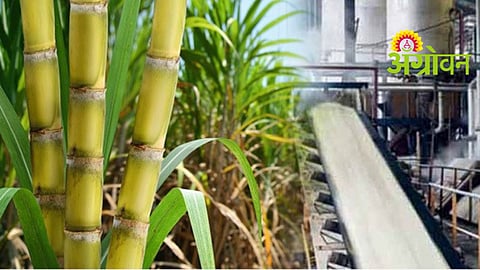 Cooperative Sugar Industry Loan