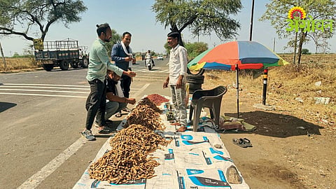 Summer Fruits Sale