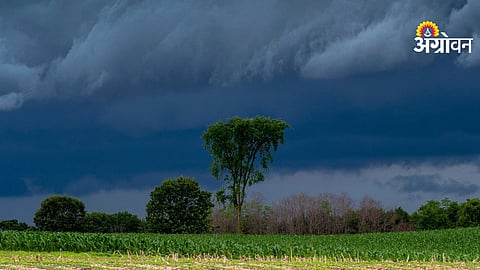 Monsoon tracking and updates