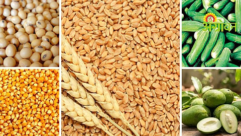 Agrowon Podcast