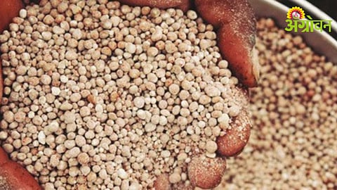 Fertilizer Stock Allocation