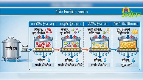 Dairy Processing Technology