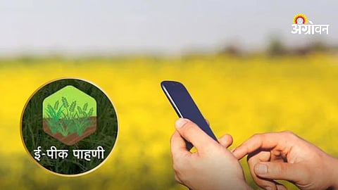Digital Crop Survey