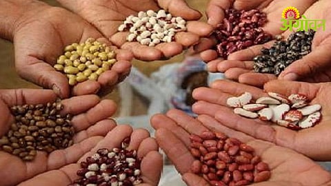 Agri Inputs Supply