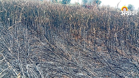 Short Circuit Fire