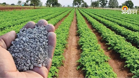 Fertilizer Crisis