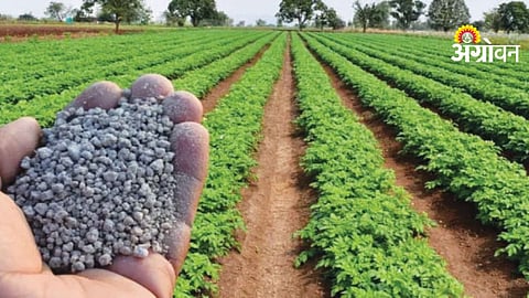 Fertilizer Supply