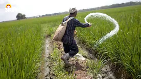 India Fertilizer Import News