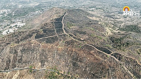 Forest Fires