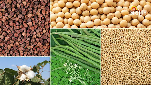 Agriculture commodity market update