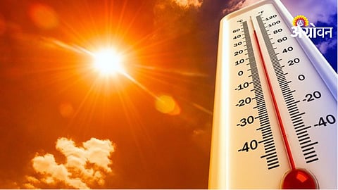 Heatwave Impact